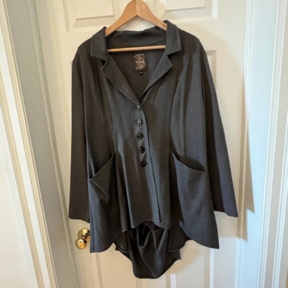 Fall Blazer Chic Ascot Jacket NWOT - Picture 1 of 5